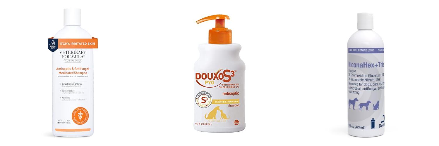 Top 5 Antifungal Antibacterial Dog Shampoos Reviewed - mtncurdog